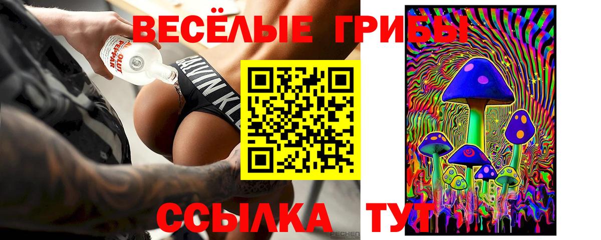 Дзержинск  Галлюциногенные грибы Magic Shrooms  хочу наркоту  Вход с VPN 