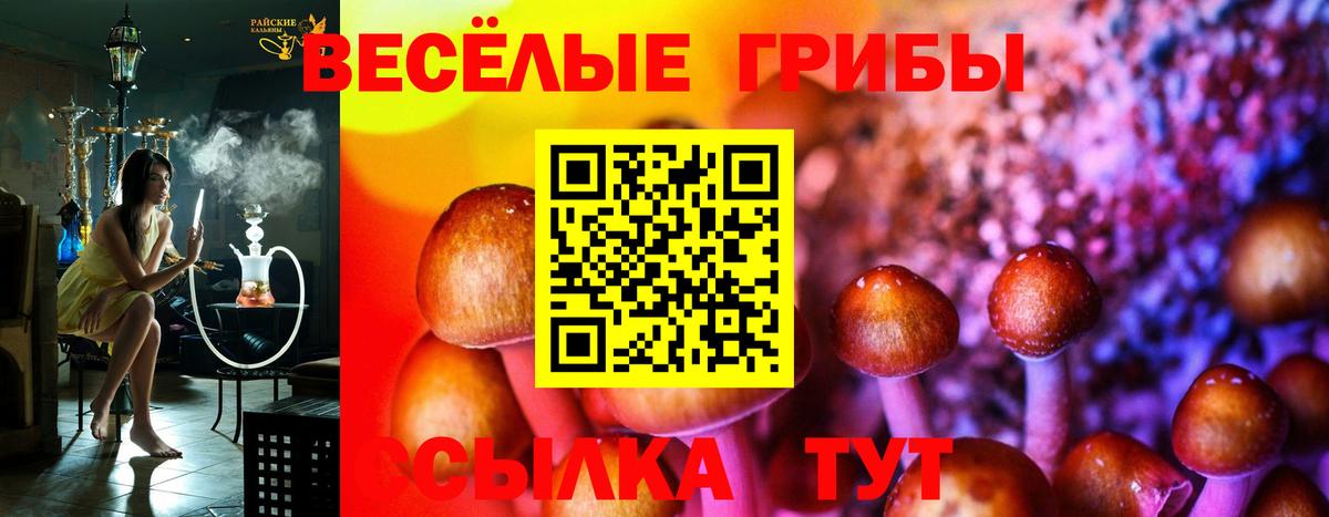 Псилоцибиновые грибы MAGIC MUSHROOMS Дзержинск