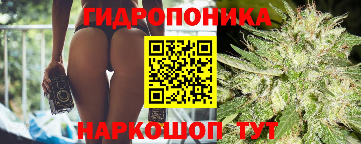Конопля план  Дзержинск  Марихуана индика  Бошки Шишки Amnesia 